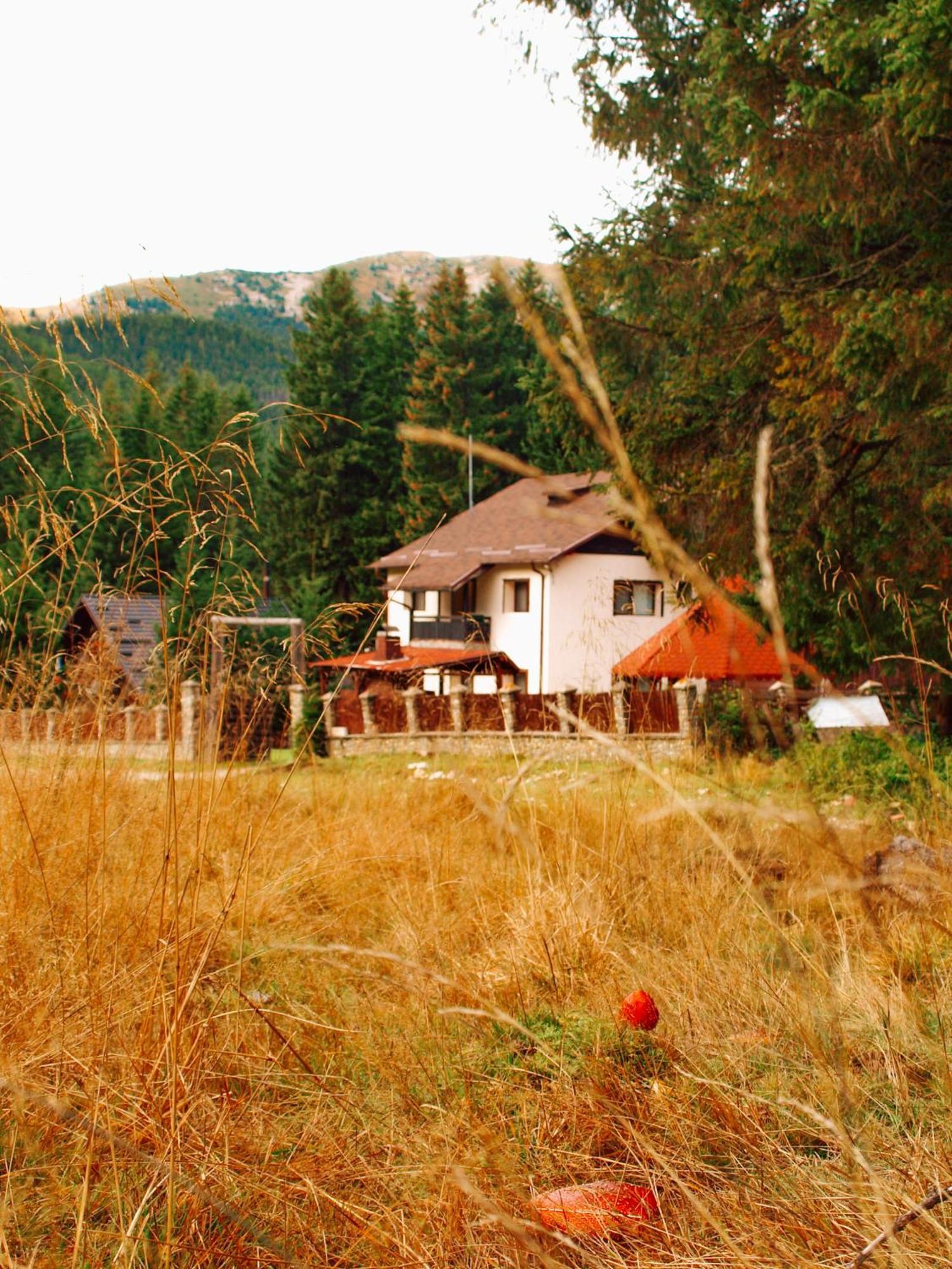 莫罗埃尼Mounthoff Retreat别墅 外观 照片